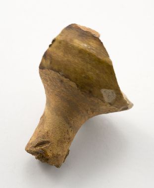 N040.jpg